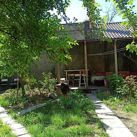 Номер В Гостевом Доме У Моря Odessa Zewnętrze zdjęcie